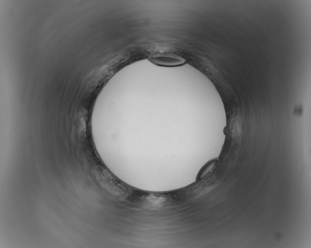 X0000114550570200911091158