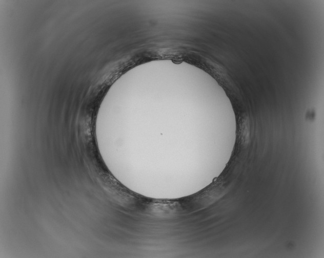 X0000114550571200911091158
