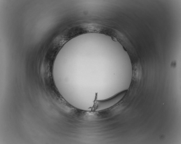 X0000114550573200911091158