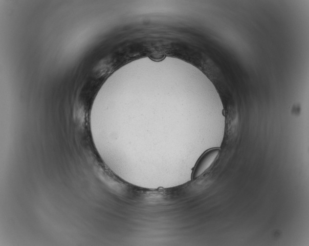 X0000114550574200911091158