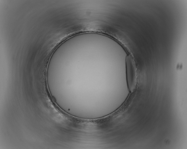 X0000114550577200911091158