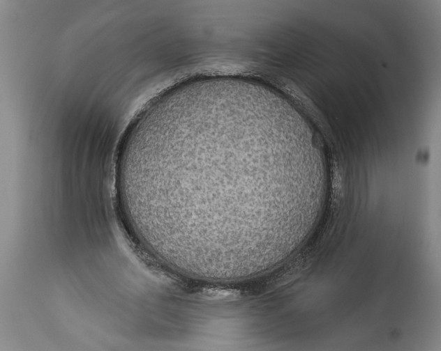 X0000114550582200911091158