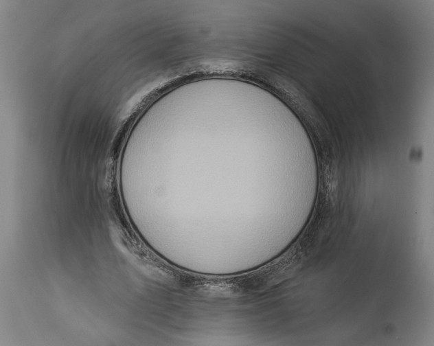 X0000114550583200911091157