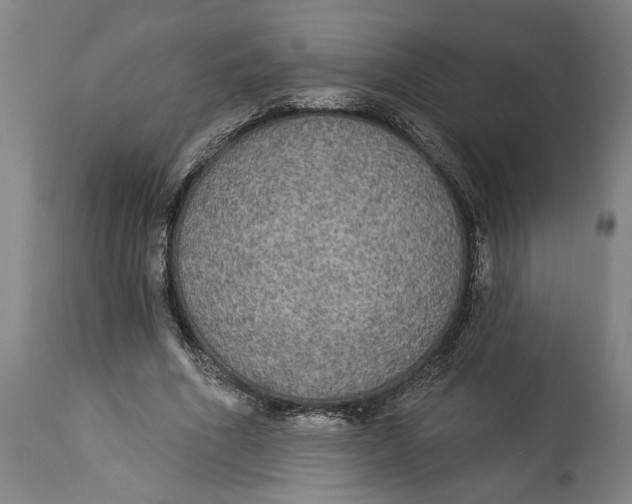 X0000114550586200911091157