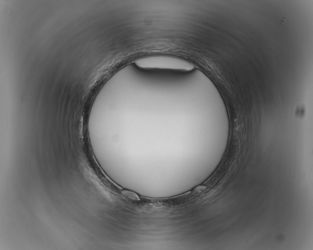 X0000114550589200911091157