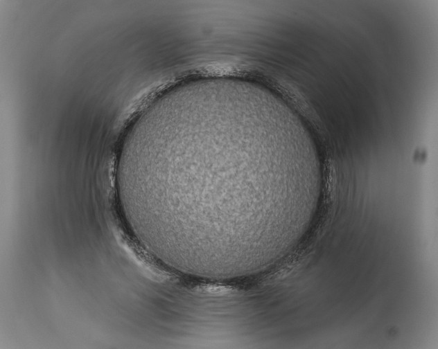 X0000114550590200911091157