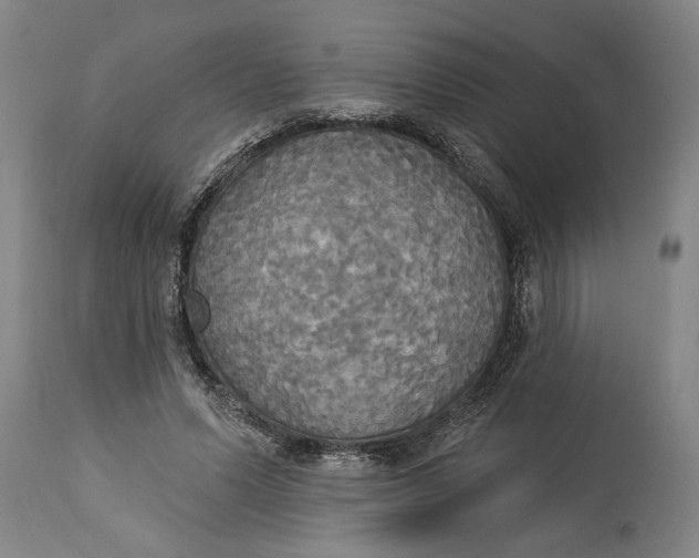 X0000114550591200911091157