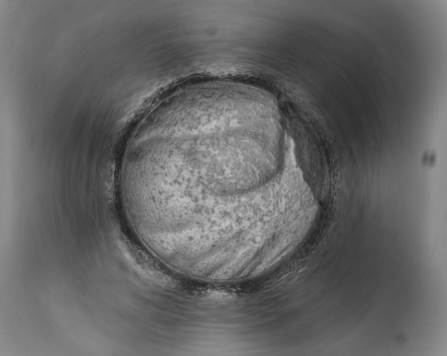 X0000114550592200911091157