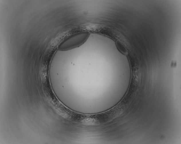 X0000114550593200911091157