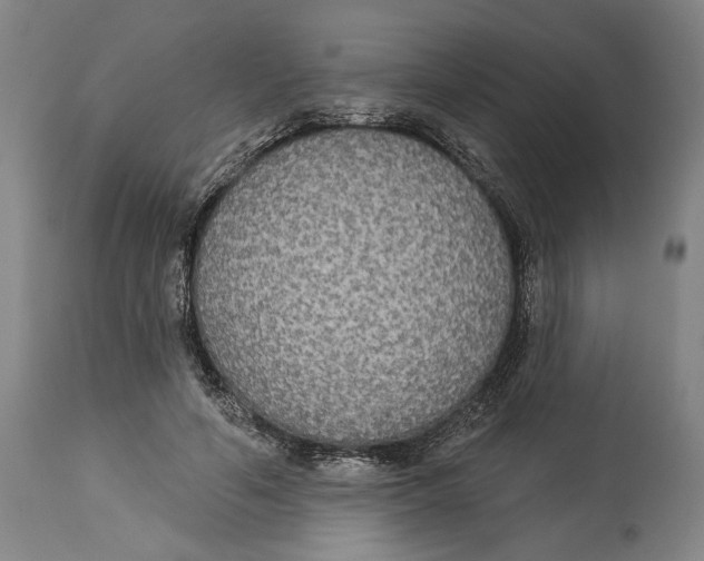X0000114550594200911091157
