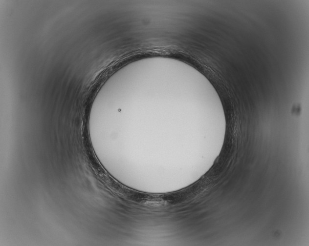 X0000114550595200911091157