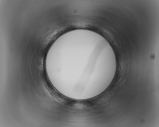 X0000114550596200911091157