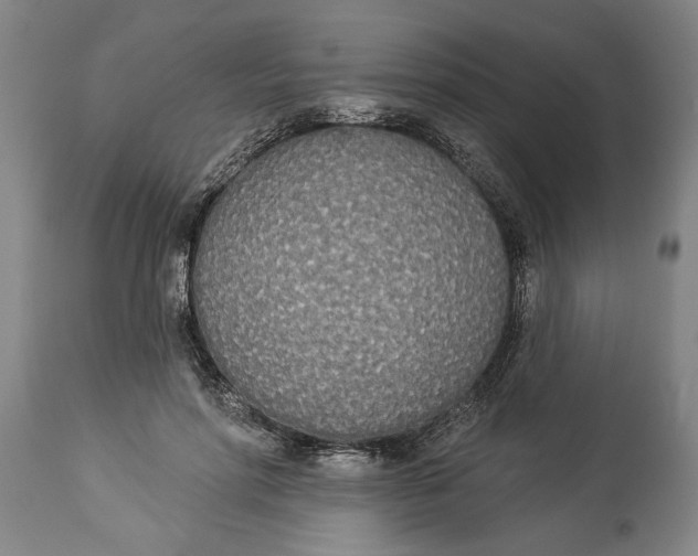 X0000114550598200911091157