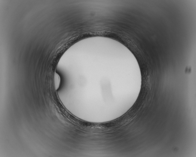 X0000114550599200911091157