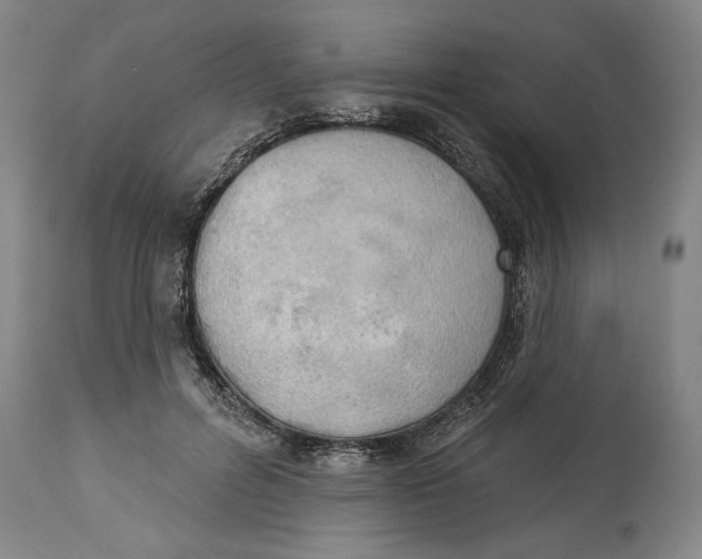 X0000114550600200911091157