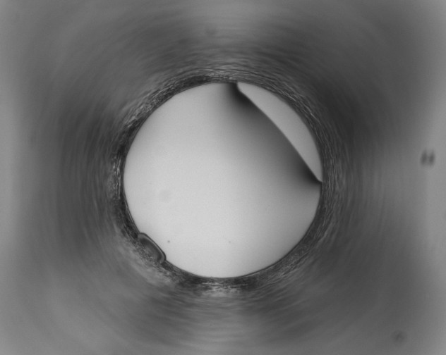 X0000114550601200911091157