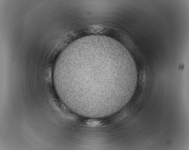 X0000114550602200911091157