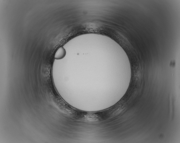 X0000114550603200911091157