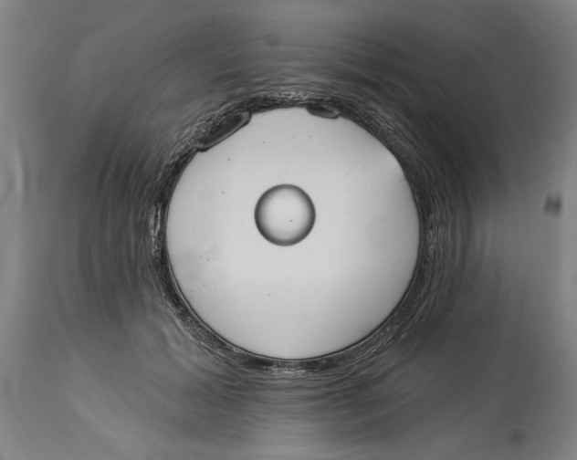 X0000114550605200911091157