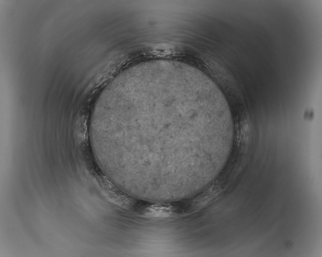 X0000114550606200911091157