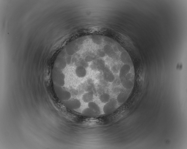 X0000114550607200911091157