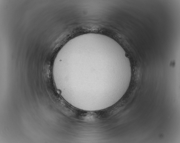 X0000114550612200911091157