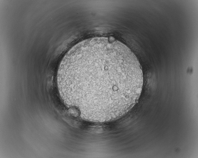 X0000114550615200911091157