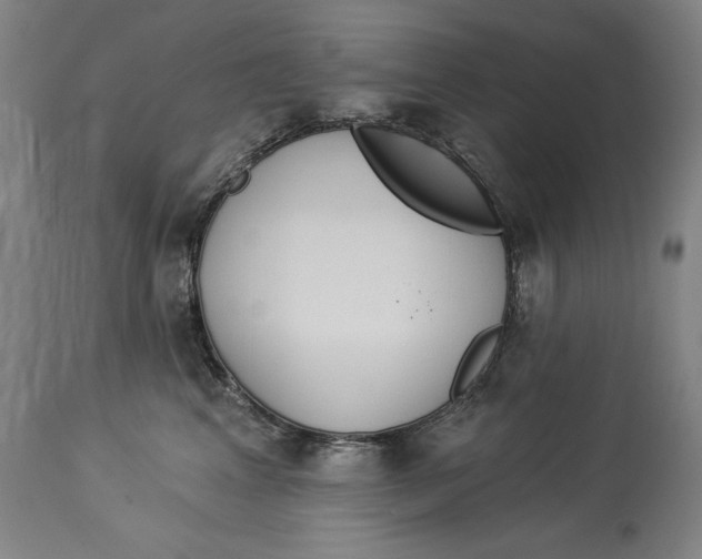 X0000114550617200911091157
