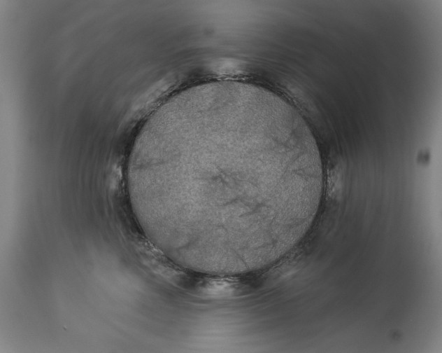 X0000114550618200911091157