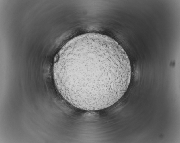 X0000114550619200911091157