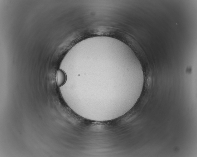 X0000114550620200911091157