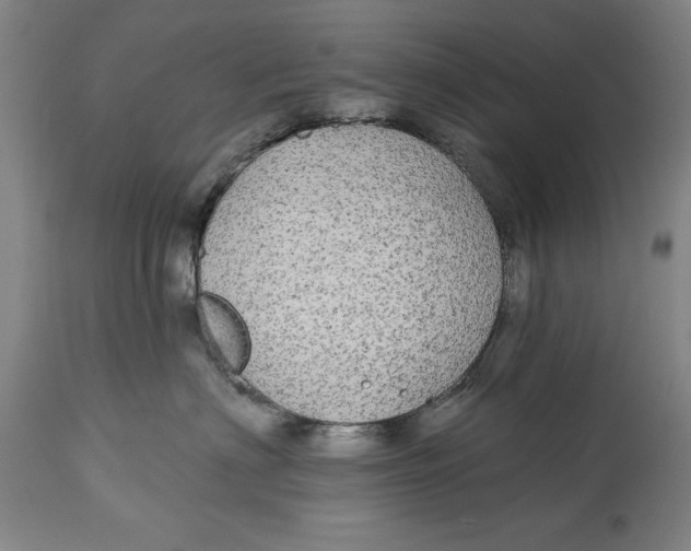 X0000114550622200911091157