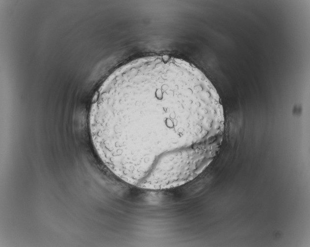 X0000114550623200911091157