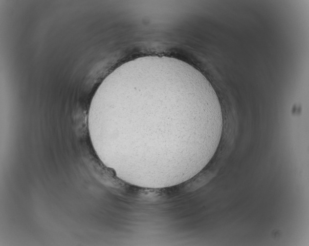 X0000114550624200911091157