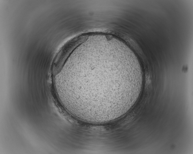 X0000114550628200911091156