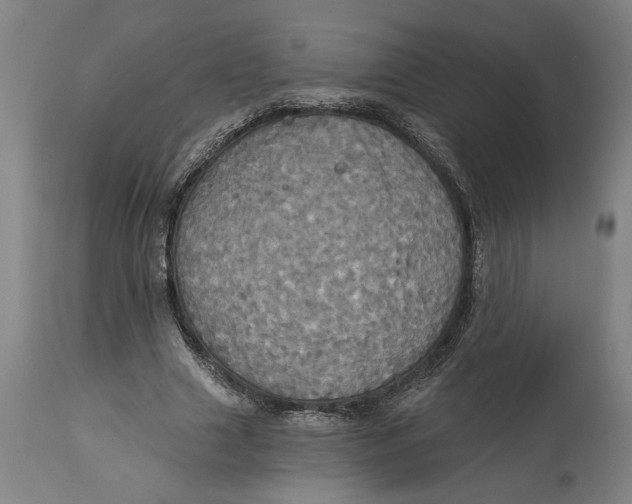 X0000114550633200911091156