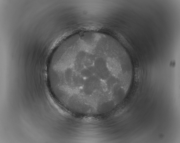 X0000114550634200911091156