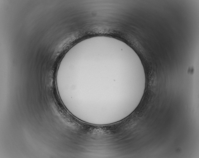 X0000114550635200911091156