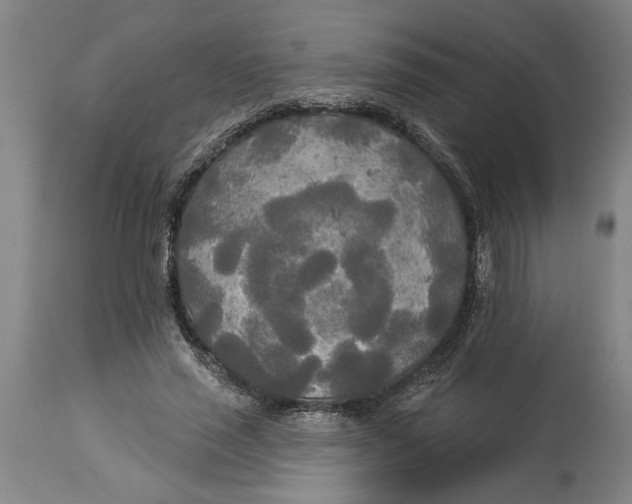X0000114550637200911091156