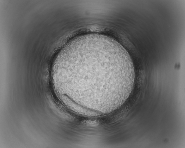 X0000114550639200911091156