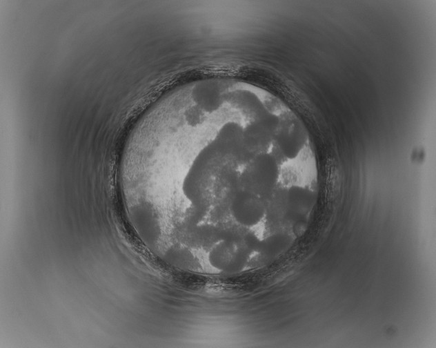 X0000114550641200911091156