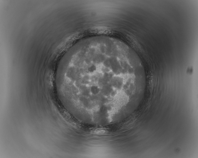 X0000114550643200911091157