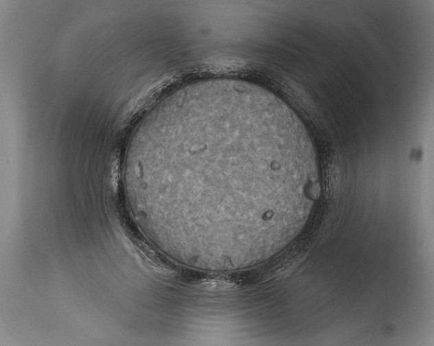 X0000114550644200911091157