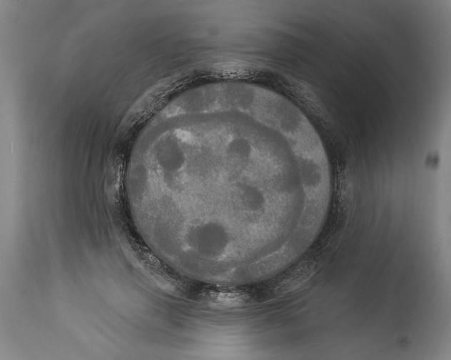 X0000114550645200911091157