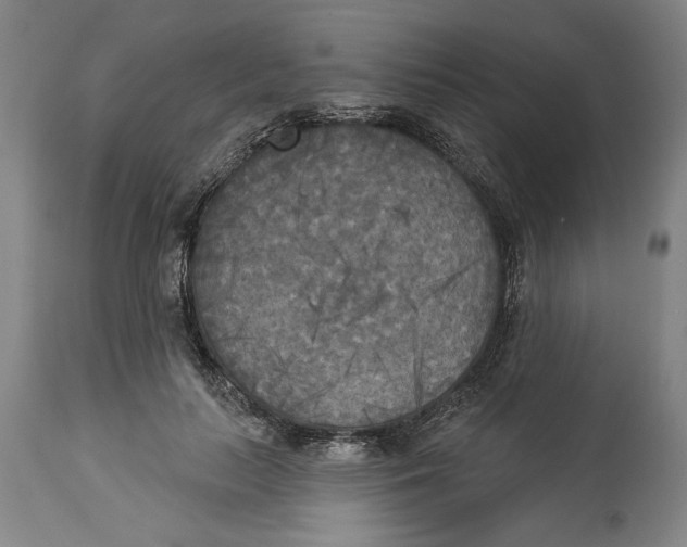 X0000114550647200911091157