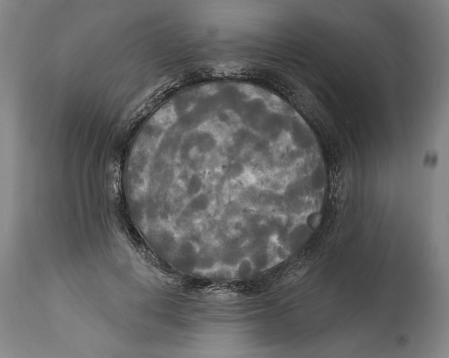 X0000114550648200911091157
