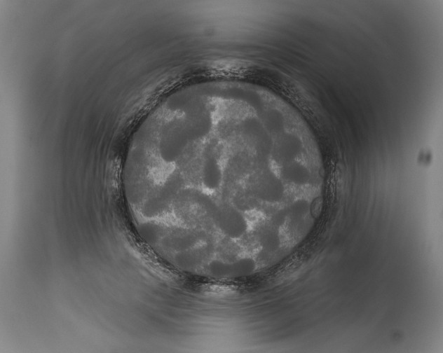 X0000114550649200911091157