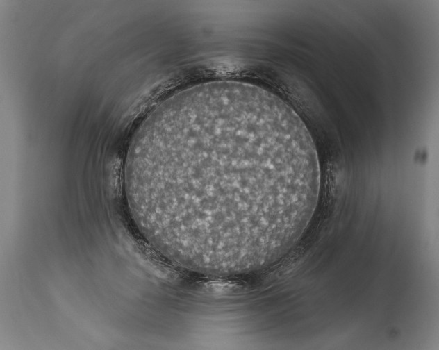 X0000114550650200911091157