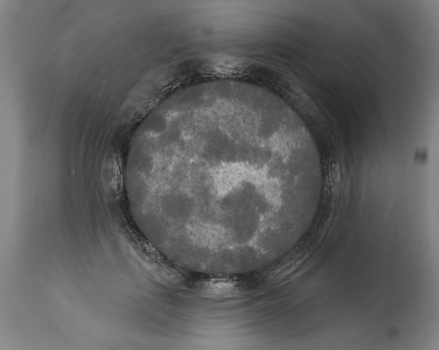 X0000114550651200911091157