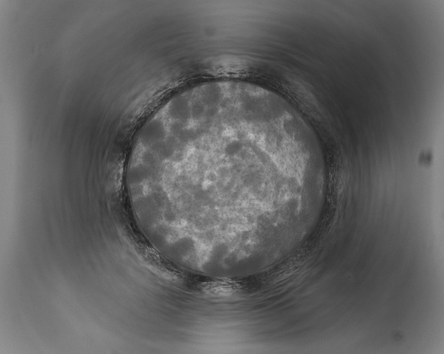 X0000114550652200911091157